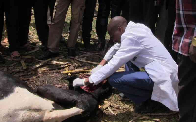 Mua residents seek end to attacks by hyenas and leopards