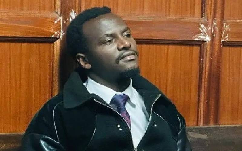 'Mr Speaker Sir' freed on Sh100,000 bond in Sh41m Parliament damage case