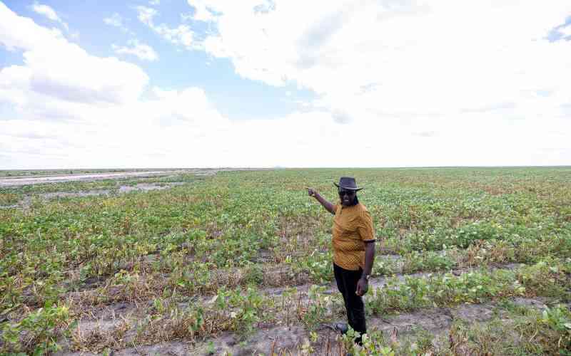 Africa has what it needs to achieve food security