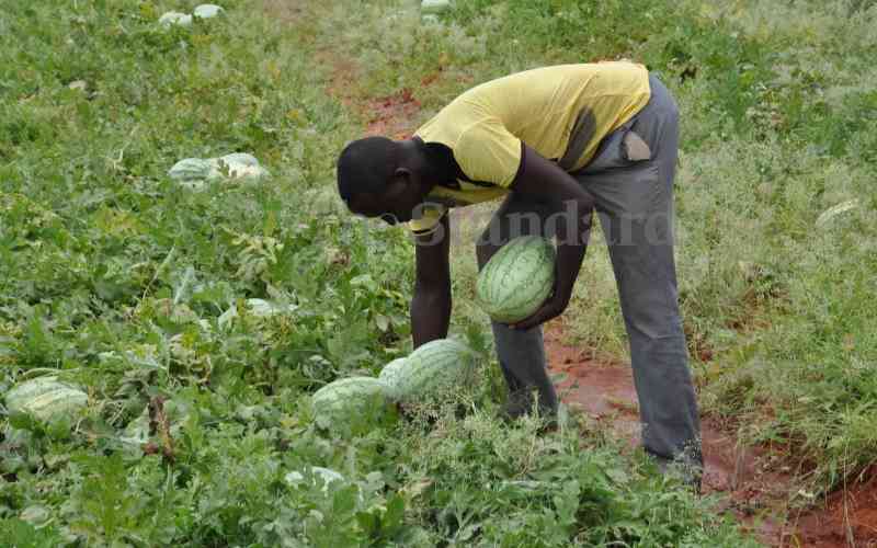 How the Bura Irrigation Scheme was designed to fail