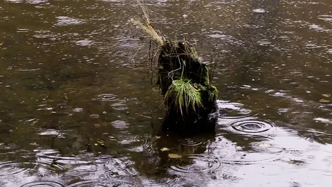 River's secrets: Desire at edge of death's passing shadow