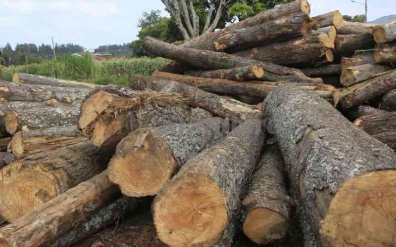 Deploy technology in forest surveillance to deter illegal logging