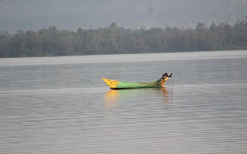 Lake Victoria at risk as Uganda oil project threatens shared Wetlands