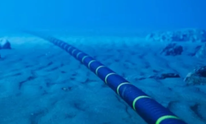 New submarine cable puts Kenya's Coast on digital growth path