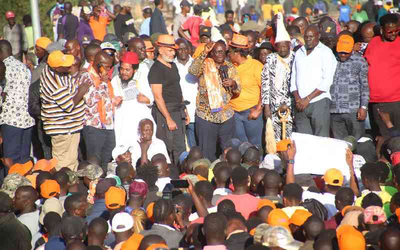 While ODM bickers, UDA wants victory in 2027 and post-poll dominance