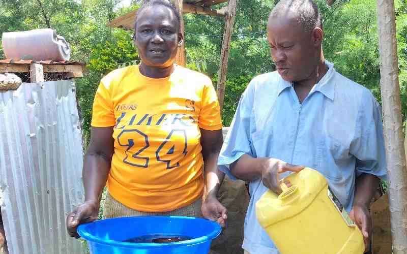 Earthworms spawn thriving enterprise for Siaya couple
