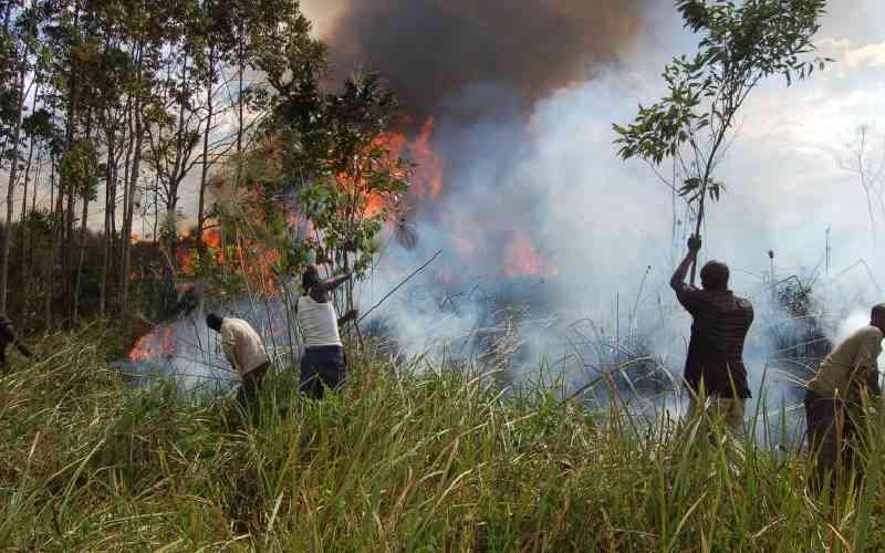 Encroachment of King'wal swamp endangers rare Sitatunga antelopes