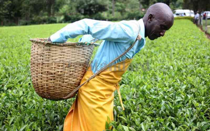 Fund targets local SMEs with Sh60 million in grants