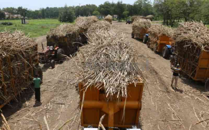 Regulator, millers to hold crucial meeting to resolve cane price dispute