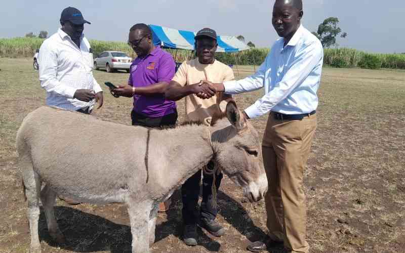 Donkey solution: over 50 farmers in Homa Bay County Receive them