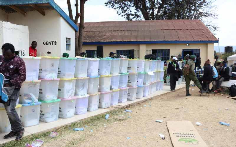 Alice Wahome's candidate trounced in UDA party primaries