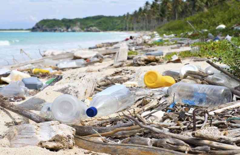 How AI has changed the game in wildlife conservation, ocean clean-up