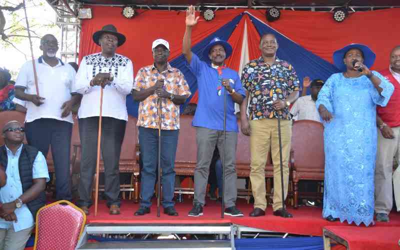 Kalonzo, former DP vow to join...