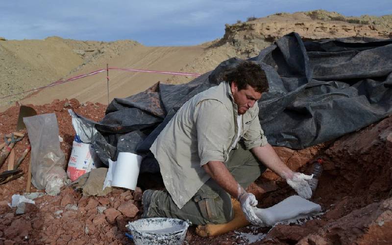 Ancient massive 'Dragon of Death' flying reptile dug up in Argentina