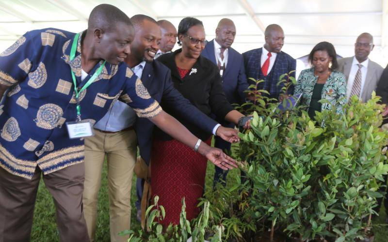 Environment conservation tops agenda at inaugural climate action conference in Eldoret