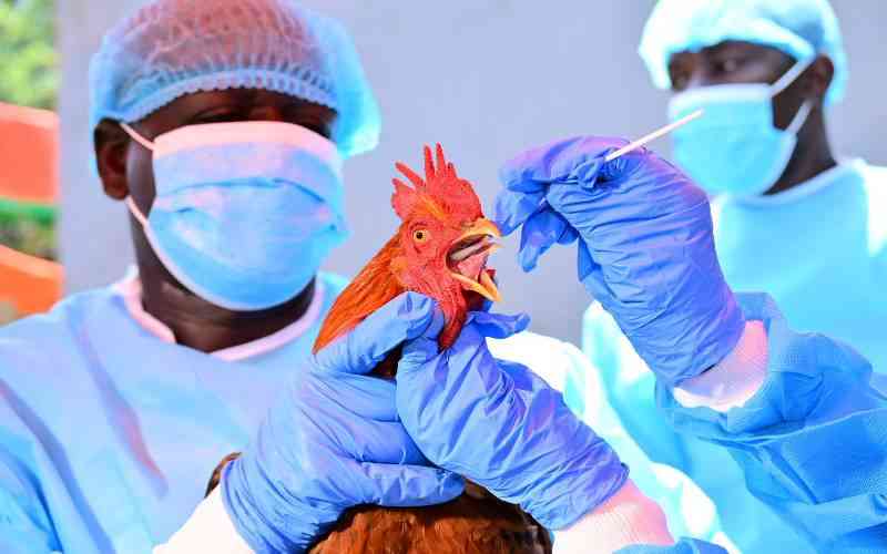 Kenya strengthens surveillance of zoonotic diseases