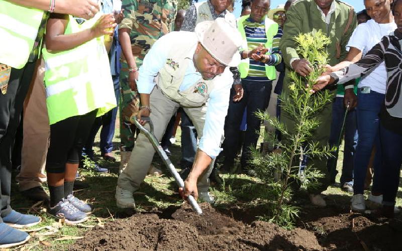 5,000 tree seedlings planted to revive Menengai forest