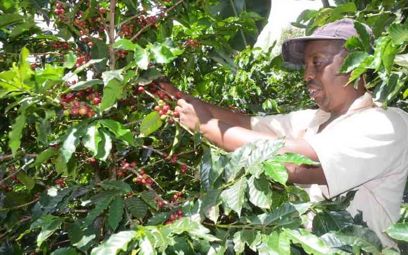 Gachagua to spearhead key coffee talks on policy review and cartels