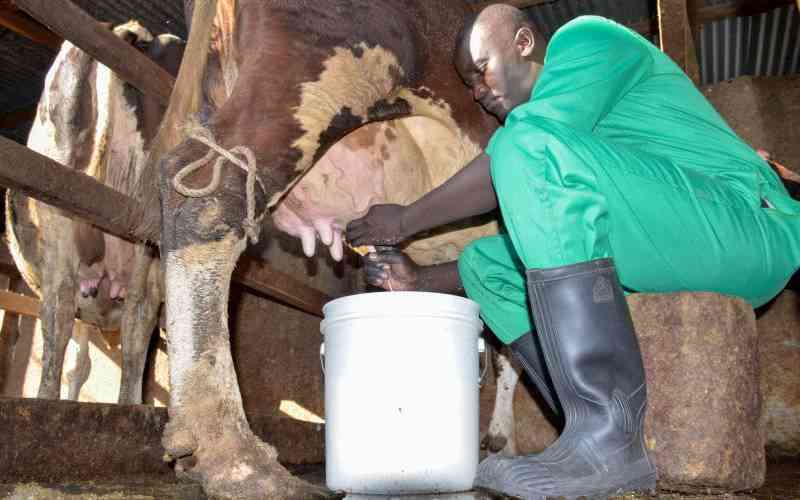 With over five billion litres of milk, dairy sector can grow our economy