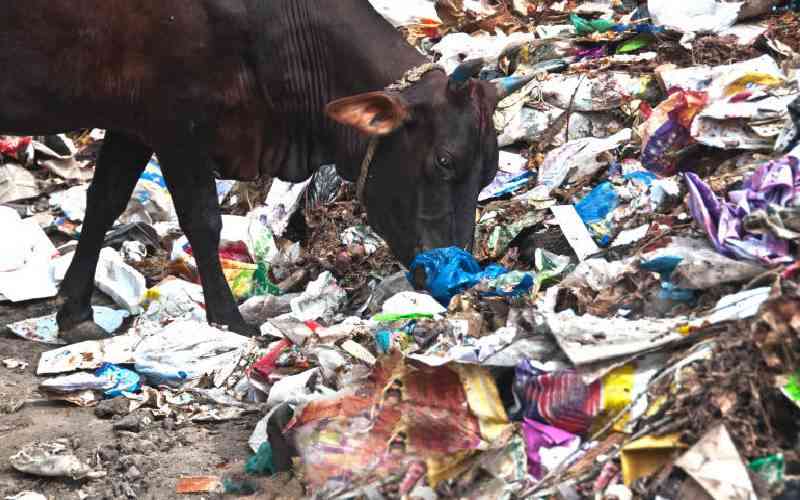 Plastic ban not helping, environmentalists warn