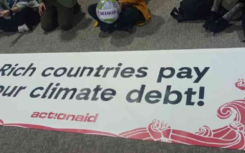 Blank cheque or climate lifeline? COP29's finance text sparks debate