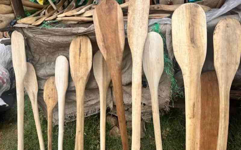 Arts and crafts of Magna, the emergence of pseudo-elitism