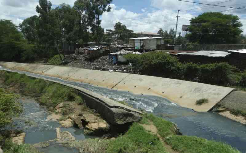 How residents turned Nairobi Dam into a farm