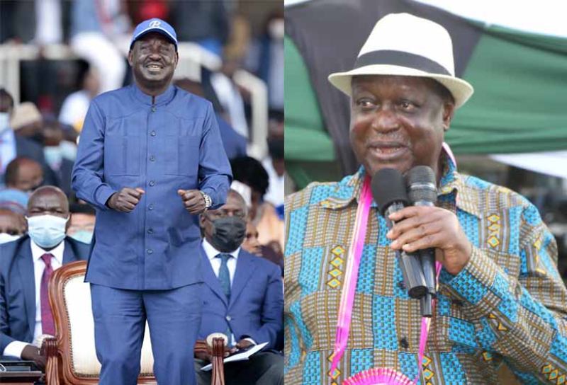 The Odingas will determine whether ODM lives or dies