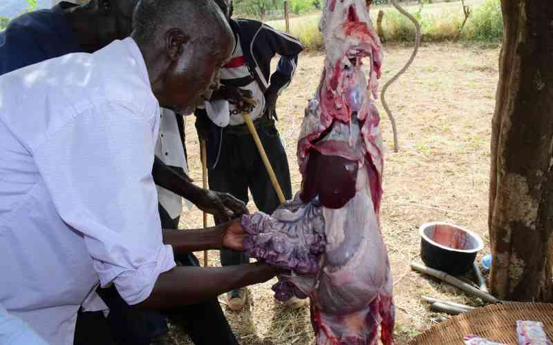 Goat intestines ritual postpones circumcision party for Keiyo boys