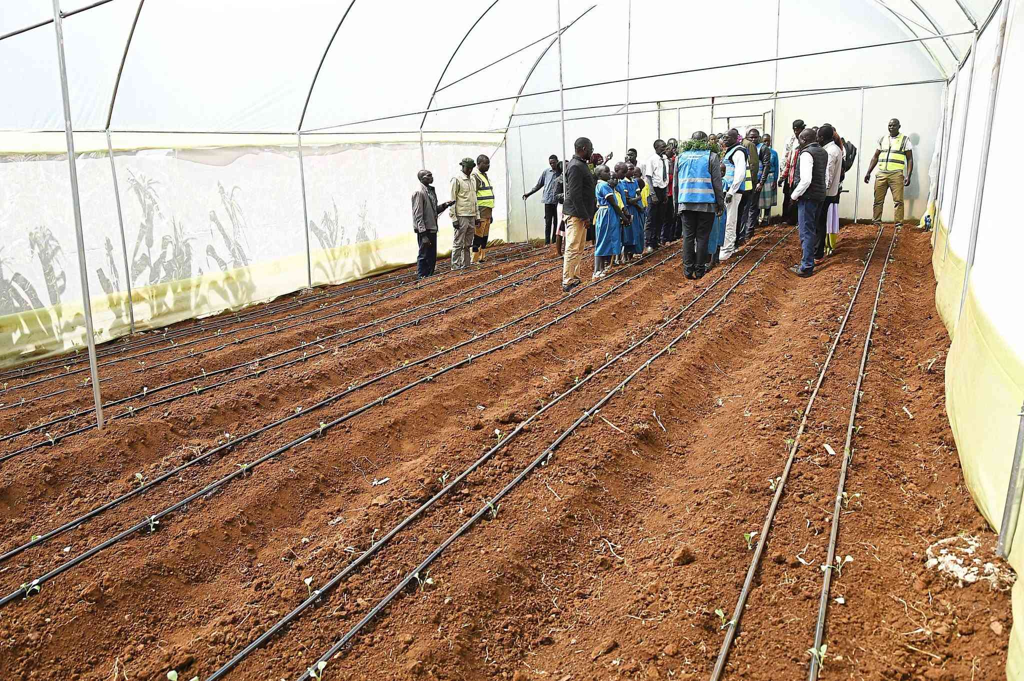 West Pokot schools tap solar water to fight hunger, slash food costs