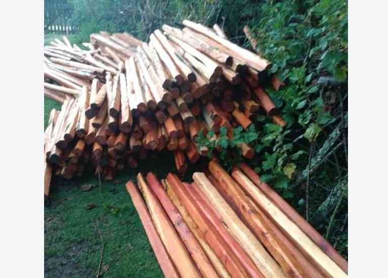 Why wood prices are set to double in Kenya's construction, furniture sectors