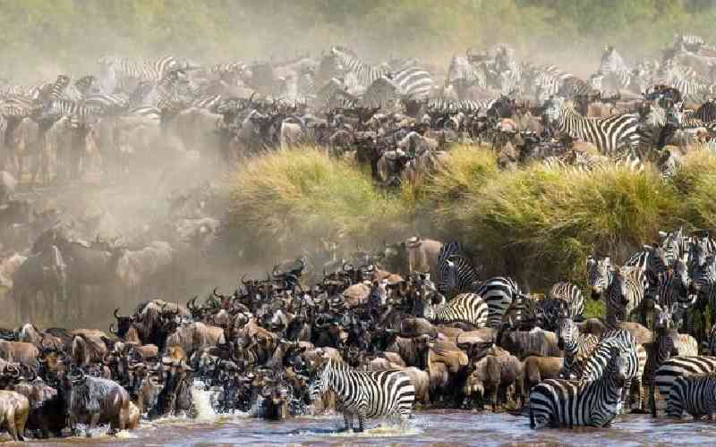 Kenya, Tanzania bet on new strategy to protect Mara ecosystem