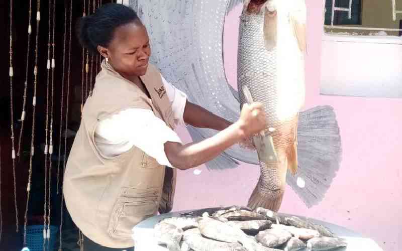 Booming eateries boost fortunes for Mt Kenya fish farmers