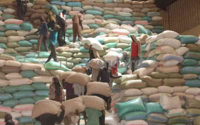 Don't bring in duty-free maize just yet - farmers