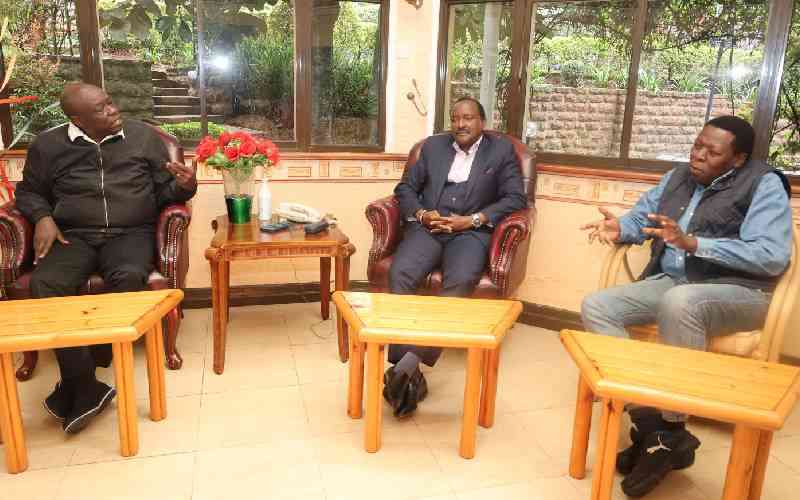 Gachagua woos Kalonzo into the Mt Kenya, Gema affiliation
