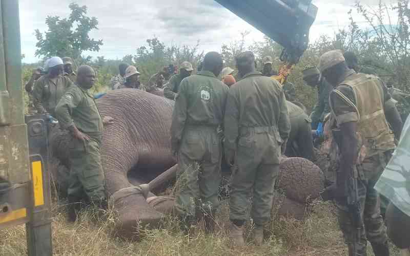 Operation Jumbo: Untold story of Kenya's elephant capture unit