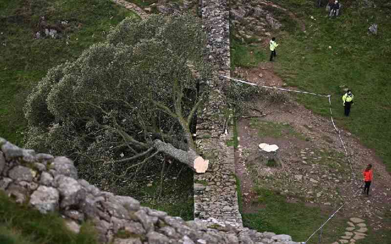 Two men found guilty of chopping down iconic UK tree