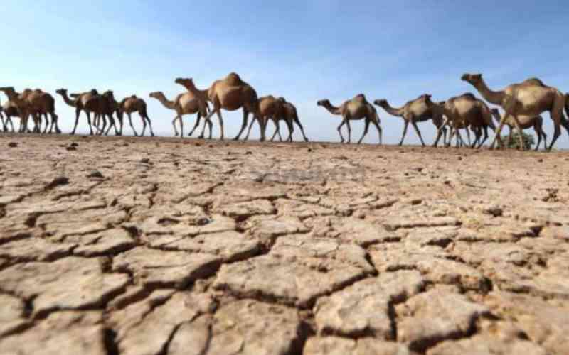 Cabinet releases Sh4.1bn as 3.3m Kenyans face starvation