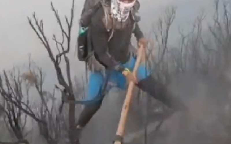 Video: firefighters battle fire on Mountain Kilimanjaro
