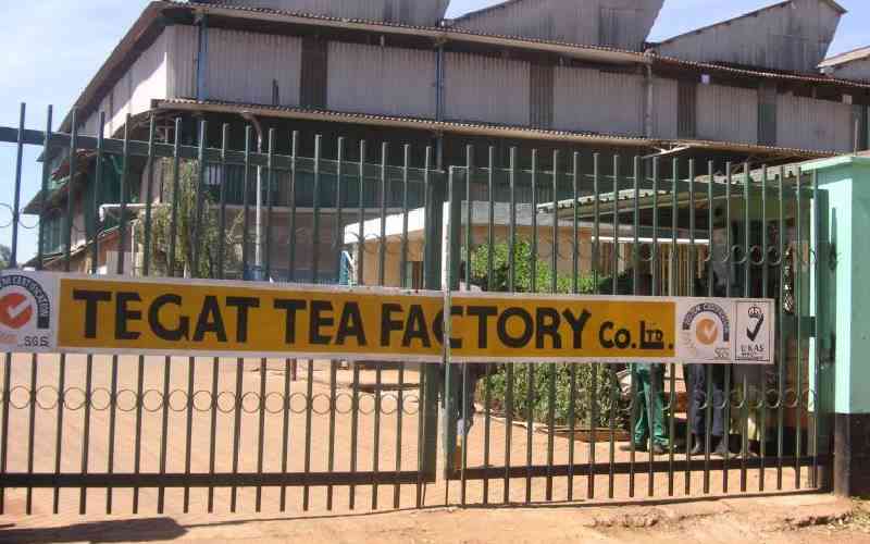 Kericho farmers boycott tea picking over bonus row