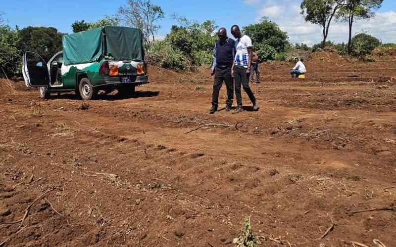 Airstrip project inside Mt Kenya forest sparks global debate