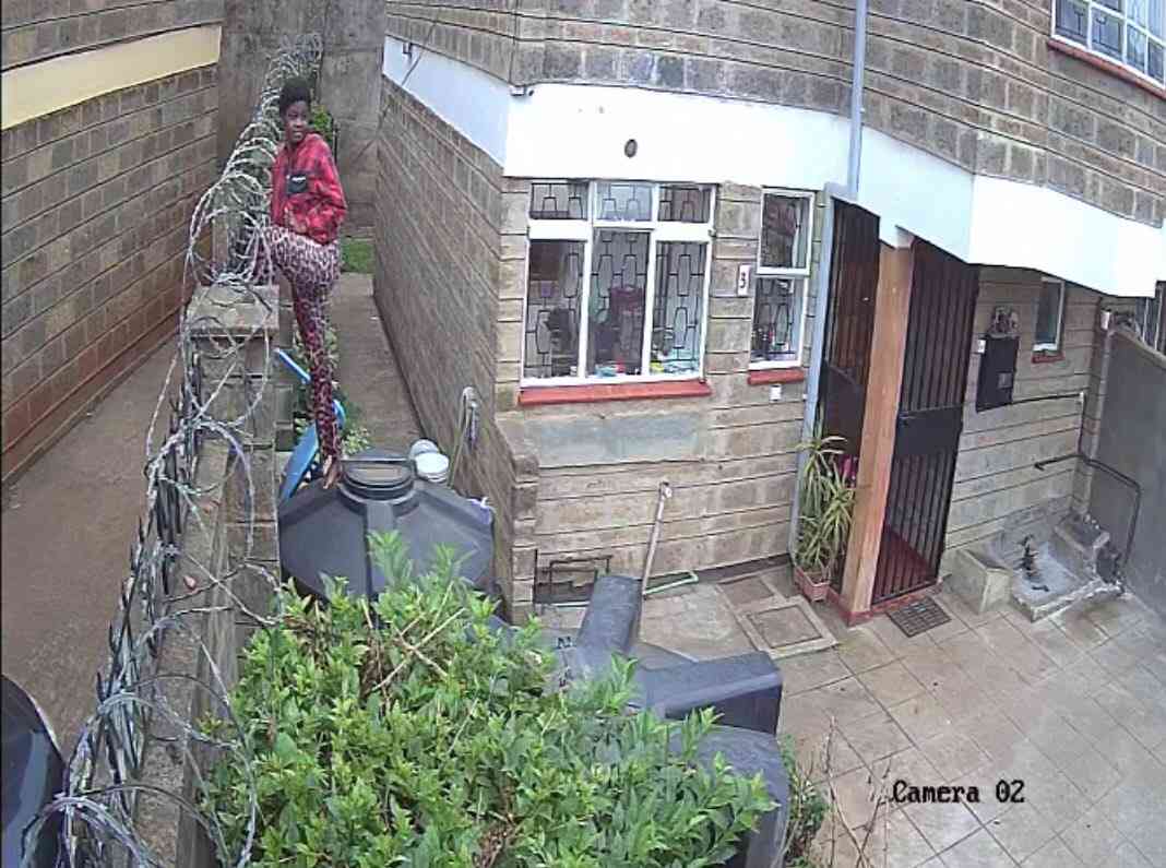 DCI: Help us arrest woman caught on camera escaping from Nairobi Hospital's Finance Director murder scene