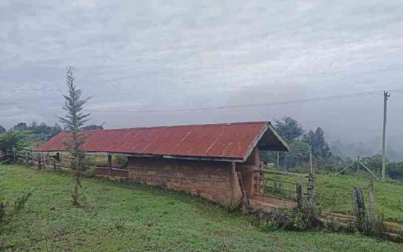 Spare a thought for farmers in white highlands