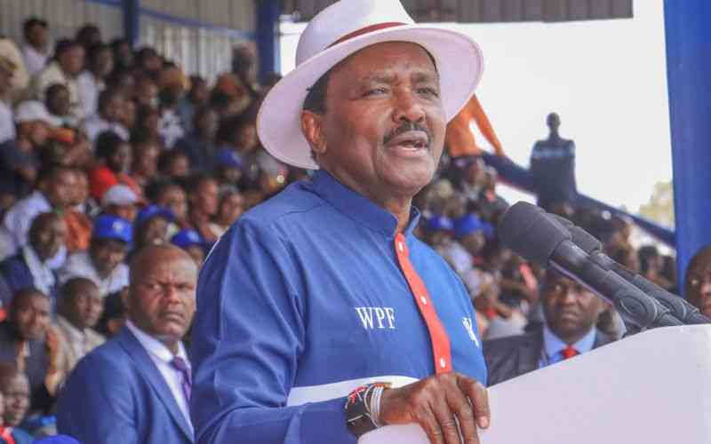 Kalonzo to Ruto: You have no numbers