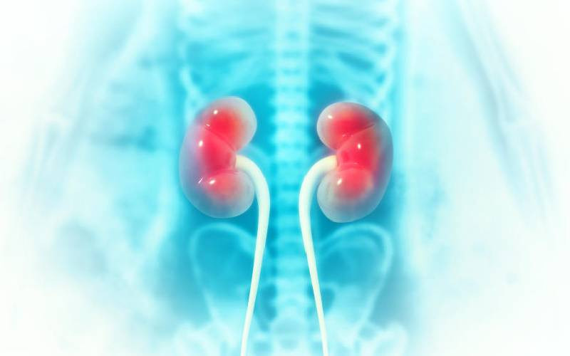 My brother-In-law, his kidney, my second chance at health and life