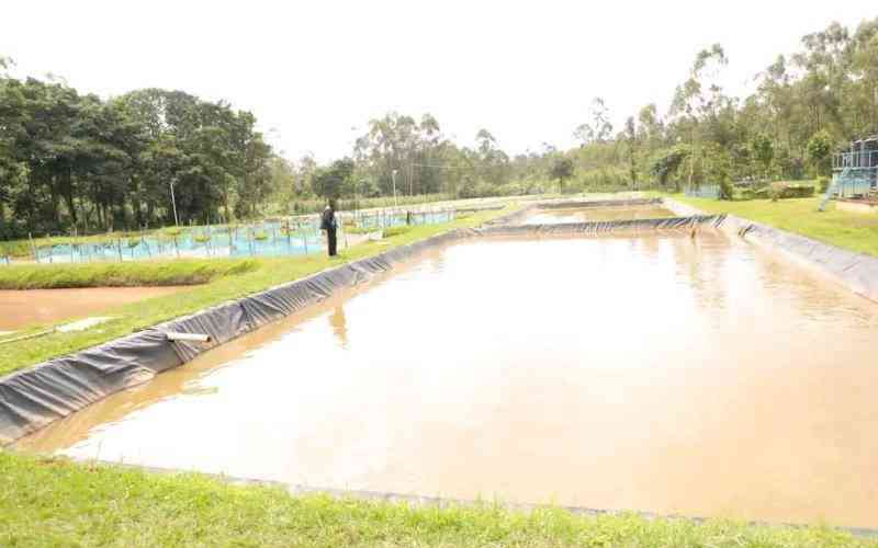 Vihiga's journey towards food security