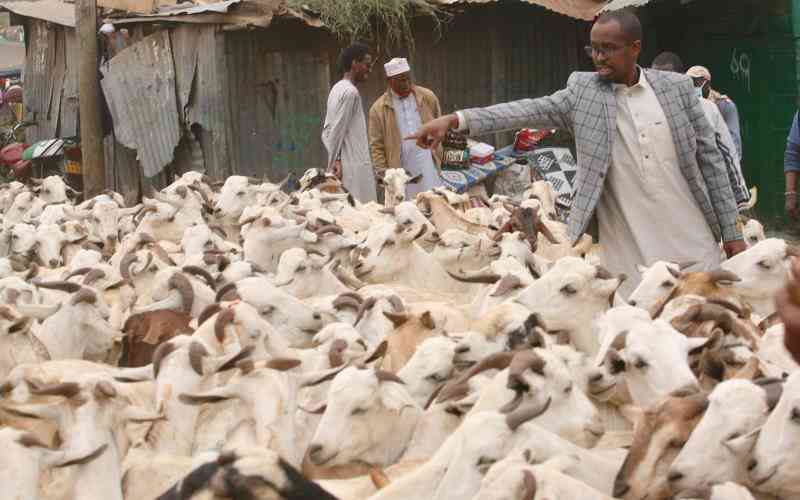 Goat, sheep business performs poorly during Eid ul-Adha celebrations