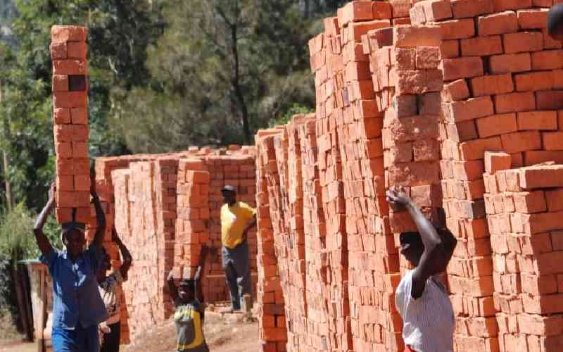 Why experts are against the use of burnt building bricks