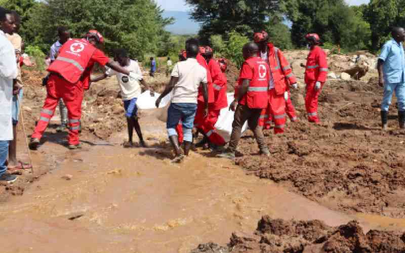 Wapima ardhi wanaonya ukataji wa miti na matumizi duni yanachochea maporomoko