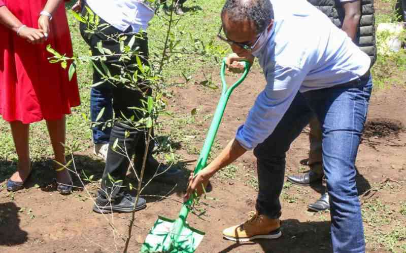 How community-led restoration is bringing back Dundori Forest